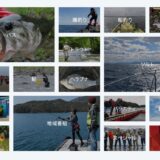 釣り専門動画サービス「釣りビジョンVOD」を紹介